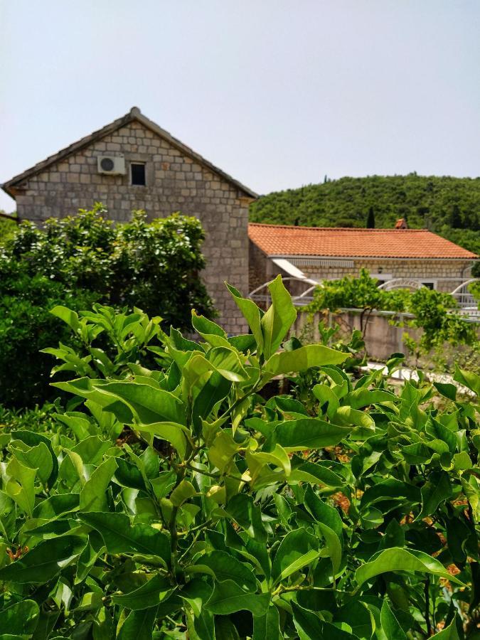 Villa Sunrise Herceg Novi Esterno foto